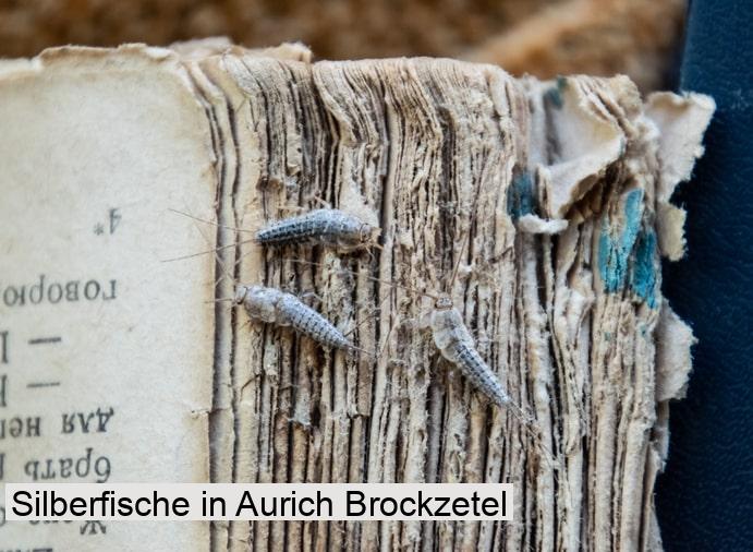 Silberfische in Aurich Brockzetel